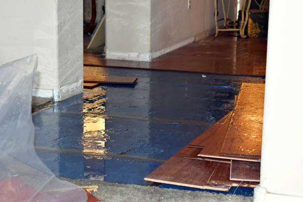 Professional Sewage Cleanup technician working in Alma, MI